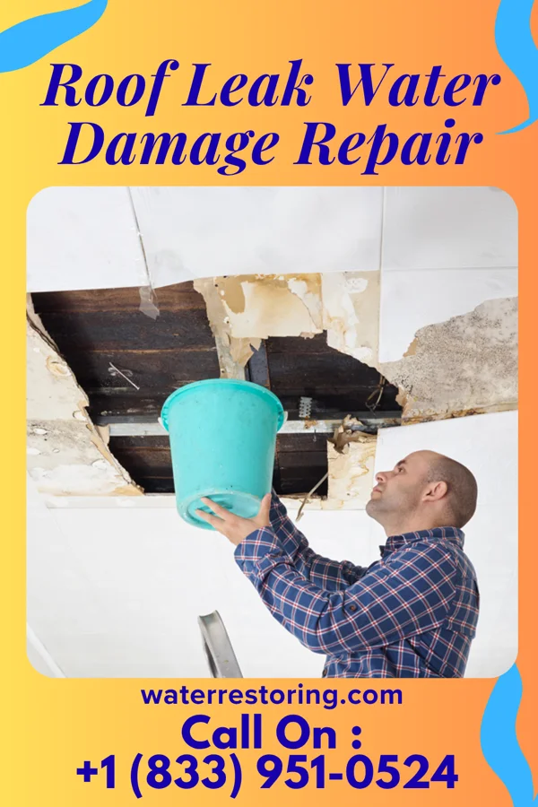 Roof Leak Water Damage Repair in Hideaway, TX